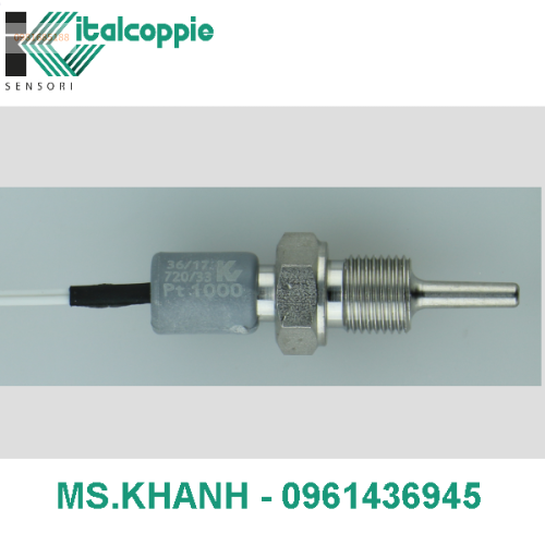 PT 1000 COMPACT RESISTANCE TEMPERATURE DETECTOR 1/8 G WITH INTEGRATED CABLE