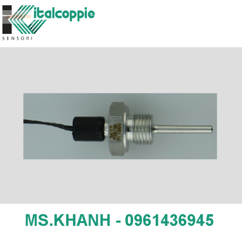 COMPACT PT 1000 PROBE WITH INTEGRATED CABLE AND G 1/4 THREADING