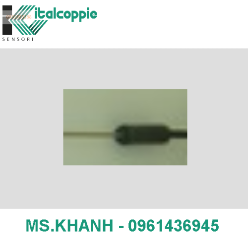 THERMOCOUPLE TYPE J Ø 1,5 – 2 – 3 – 4,5 mm WITH INTEGRATED CABLE