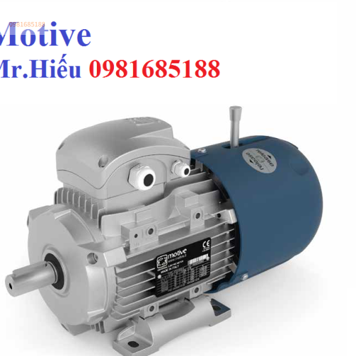 Mô tơ điện ATDC 132SB-2