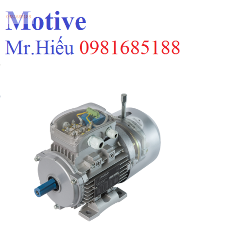 Mô tơ thắng ATDC 132S-4 Motive