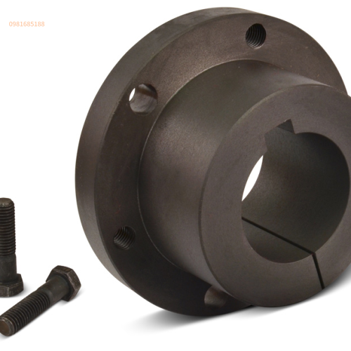 Ống lót pyly Sure-Grip® Bushings TB WOODS